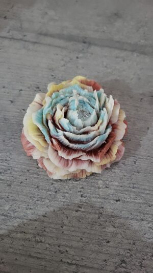 pivoine multi