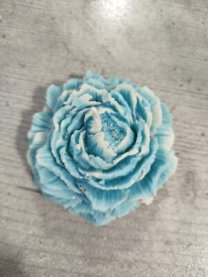 pivoine