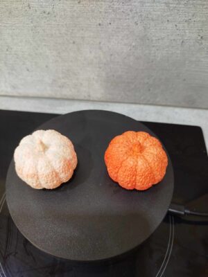 Petite citrouille – Image 2