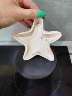 Étoile de mer – Image 2