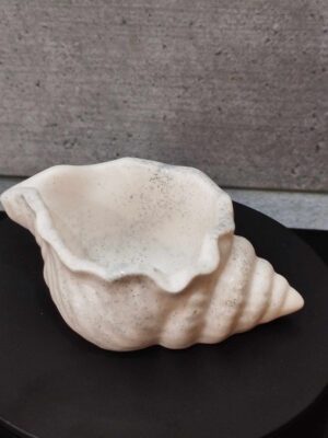 Coquillage