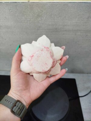 Fleur de lotus – Image 2