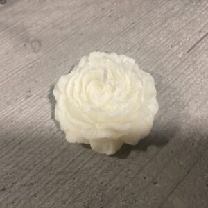 Bougie Pivoine moyenne