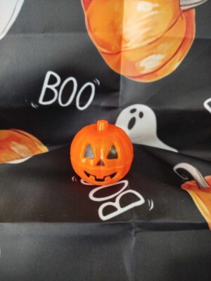 Halloween – Image 15