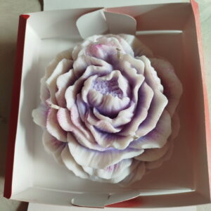 Pivoine XXL