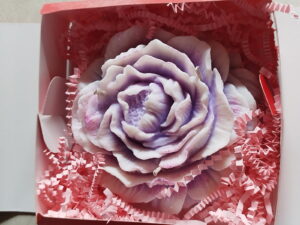 Pivoine XXL – Image 3