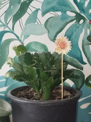 Pique de décoration – Image 3