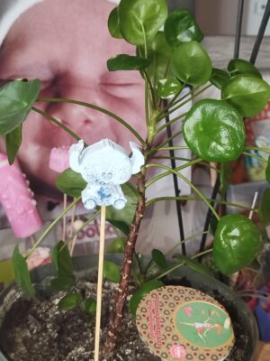 Pique de décoration – Image 4