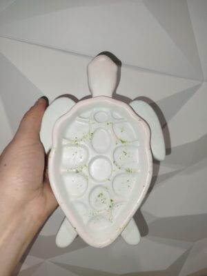 Porte savon tortue – Image 4
