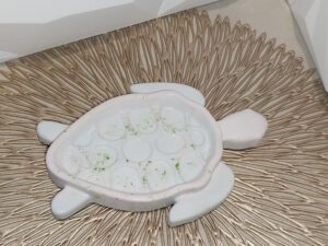Porte savon tortue
