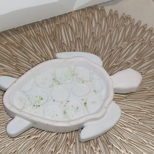 Porte savon tortue